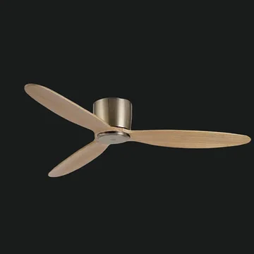 Quạt Trần QT31C
